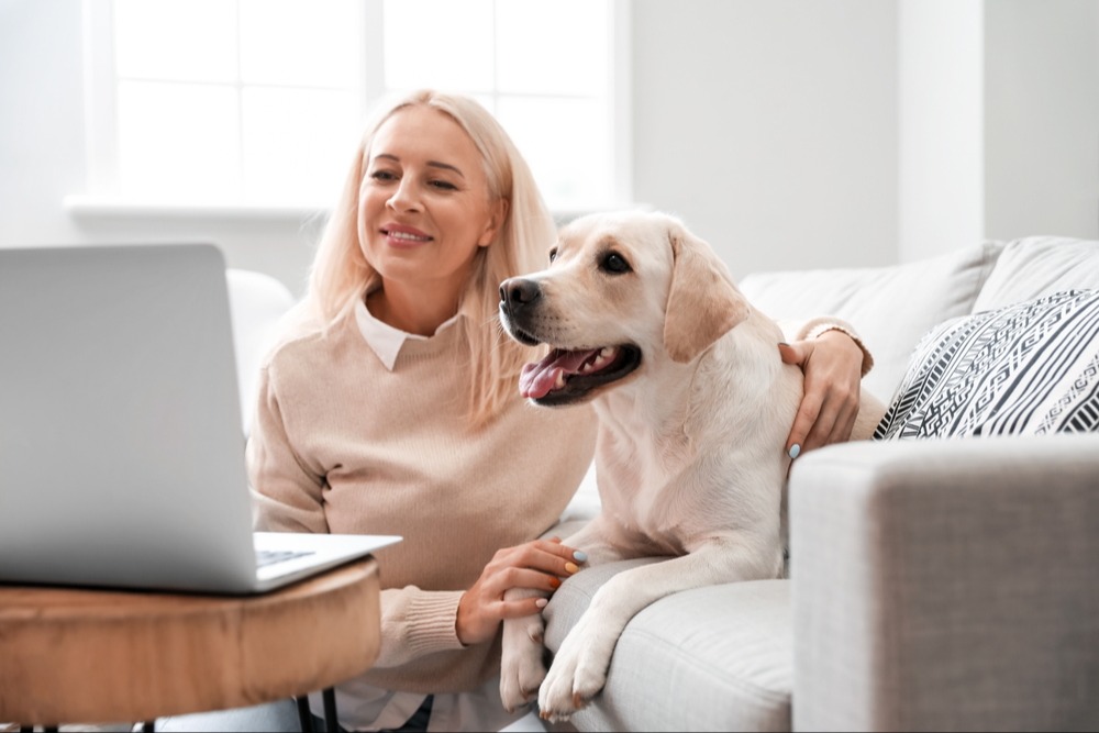 Can an Online Vet Prescribe Medicine?